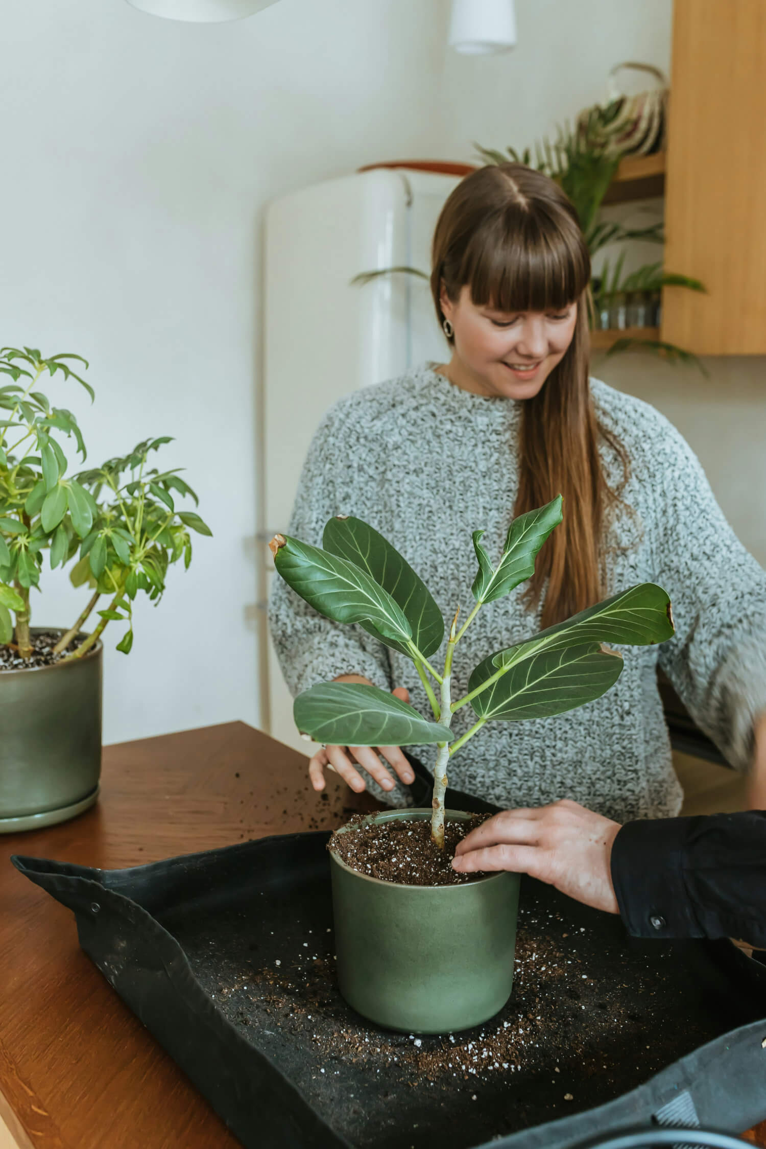 Two people potting a plant indoors. One person is placing soil in the pot while the other looks on smiling. A potted plant is placed nearby on the table next to some gardening supplies.