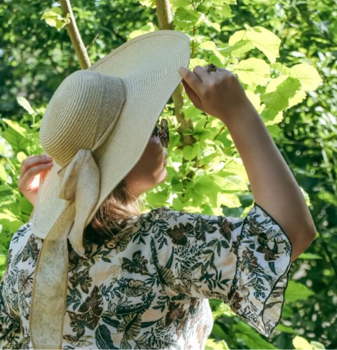 A person wearing a wide-brimmed hat and floral-patterned shirt is looking up at greenery in an outdoor setting.